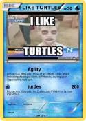I LIKE TURTLES