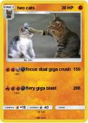 two cats
