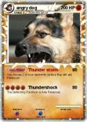 angry dog