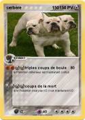 cerbère 150
