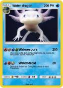 Water dragon