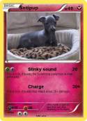 Setipup
