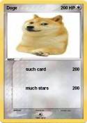 Doge
