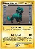 thunder pup