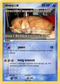 sleepy cat