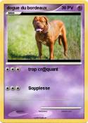 dogue du bordea