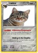 Cattitus