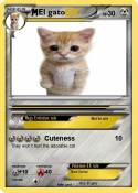 El gato