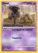mastiff