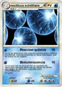 noctiluca