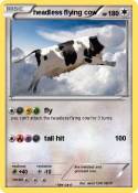 headless flying