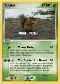 Squirrel