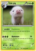Cute pig