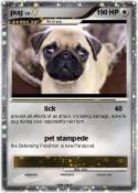 pug