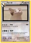 bop cat
