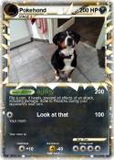 Pokehond