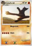 Kung fu cat