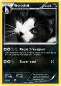 Nécrochat