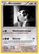 Nécrochaton