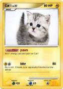 Cat I