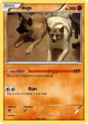 dogs