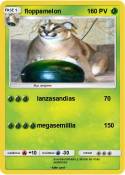 floppamelon