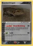 Bearded Dragon