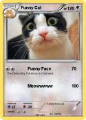 Funny Cat