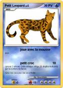 Petit Leopard
