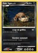 Petit Tigre