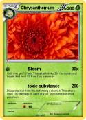 Chrysanthemum