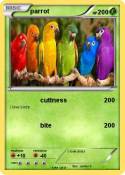 parrot