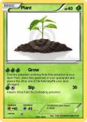Plant