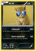Mr.cat