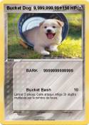 Bucket Dog 9,99