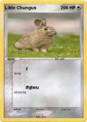 Little Chungus