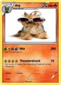 dog