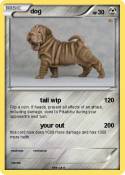 dog