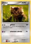 Chaton