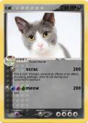 cat