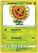 Sunflower