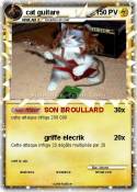 cat guitare