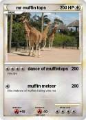 mr muffin tops