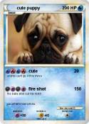 cute puppy
