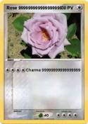 Rose 9999999999