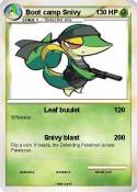 Boot camp Snivy