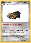 Ninja Bidoof