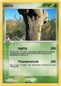 cactus