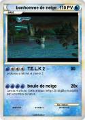 bonhomme de nei