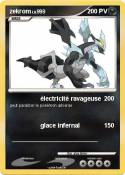 zekrom